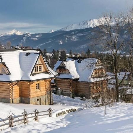 Willa Pitoniowka Z Sauna, Netflix Oraz Xbox One Kościelisko Kültér fotó