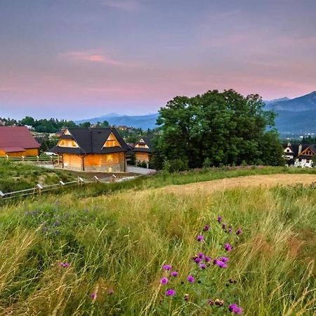 Willa Pitoniowka Z Sauna, Netflix Oraz Xbox One Kościelisko Kültér fotó